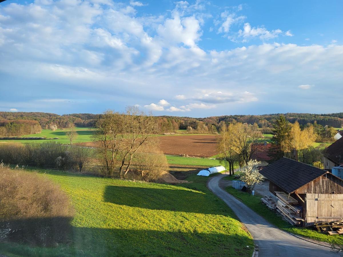 Pension Am Wald Goessweinstein Extérieur photo